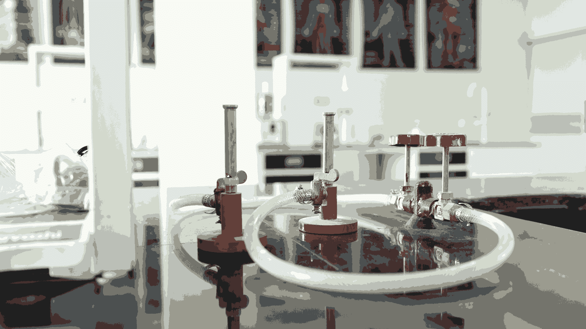 Pragjyotishpur University Guwahati Pharmacology lab photo 16